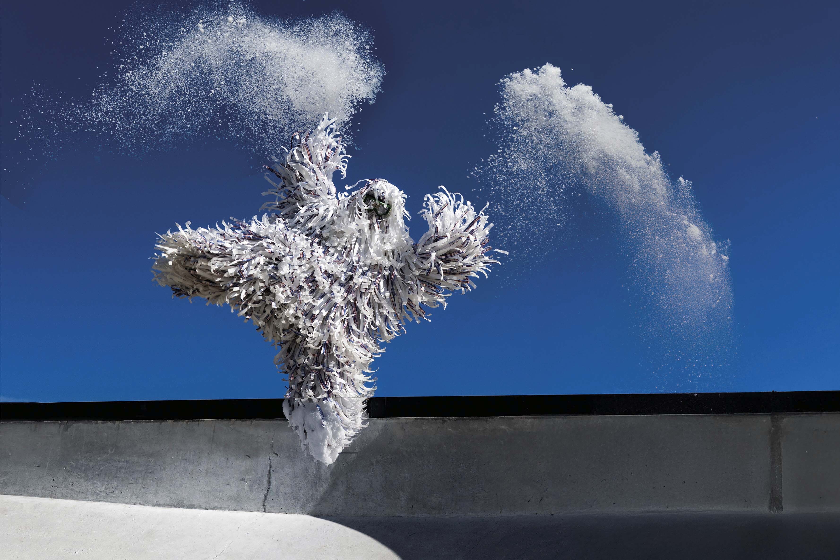 Yeti