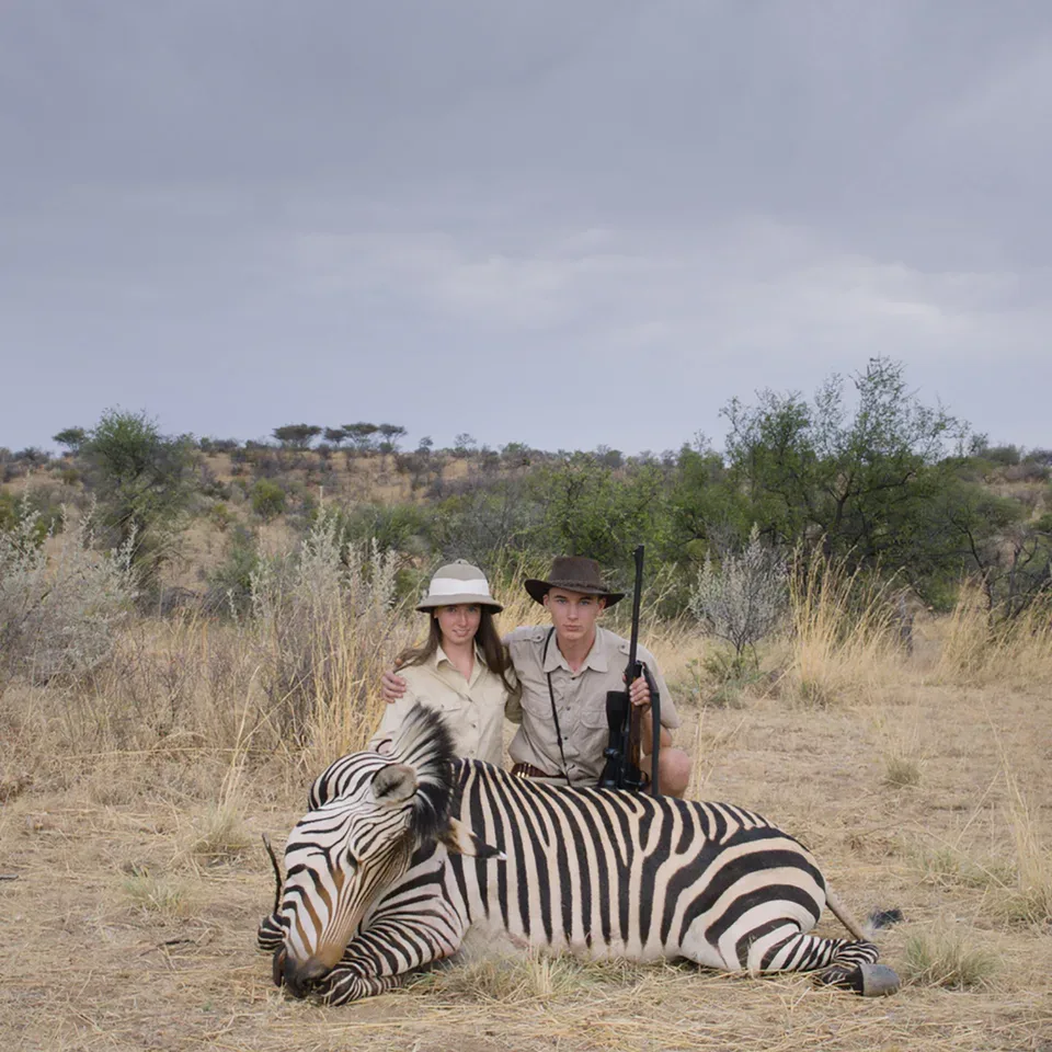 Safari